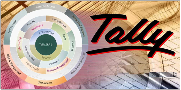Basic Computer Course + Tally